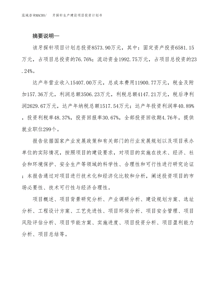 （模板）牙探针生产建设项目投资计划书_第2页