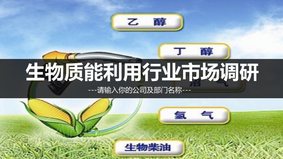 生物质能利用调研报告_第1页