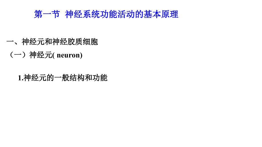 2013生理学神经系统ZC教程_第4页