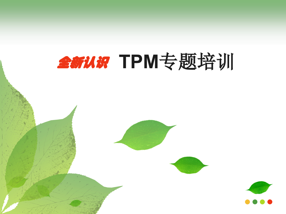 TPM基础知识.ppt_第1页