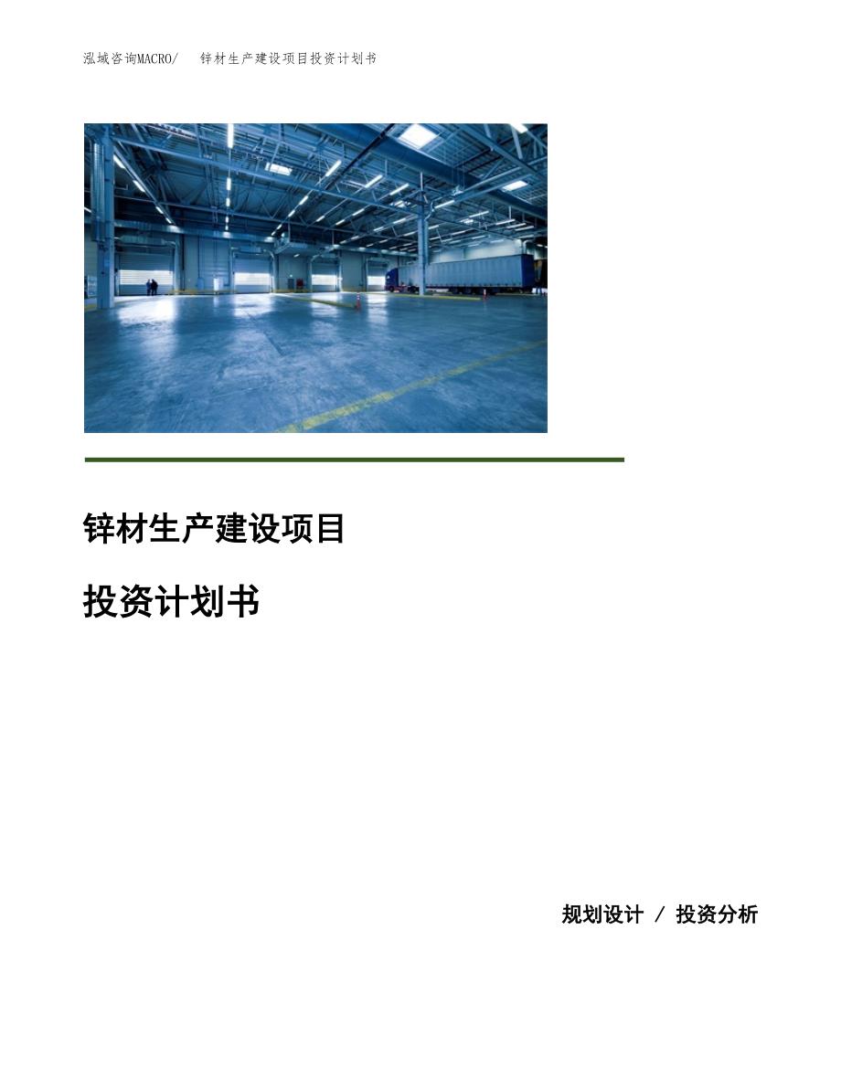 （模板）锌材生产建设项目投资计划书_第1页