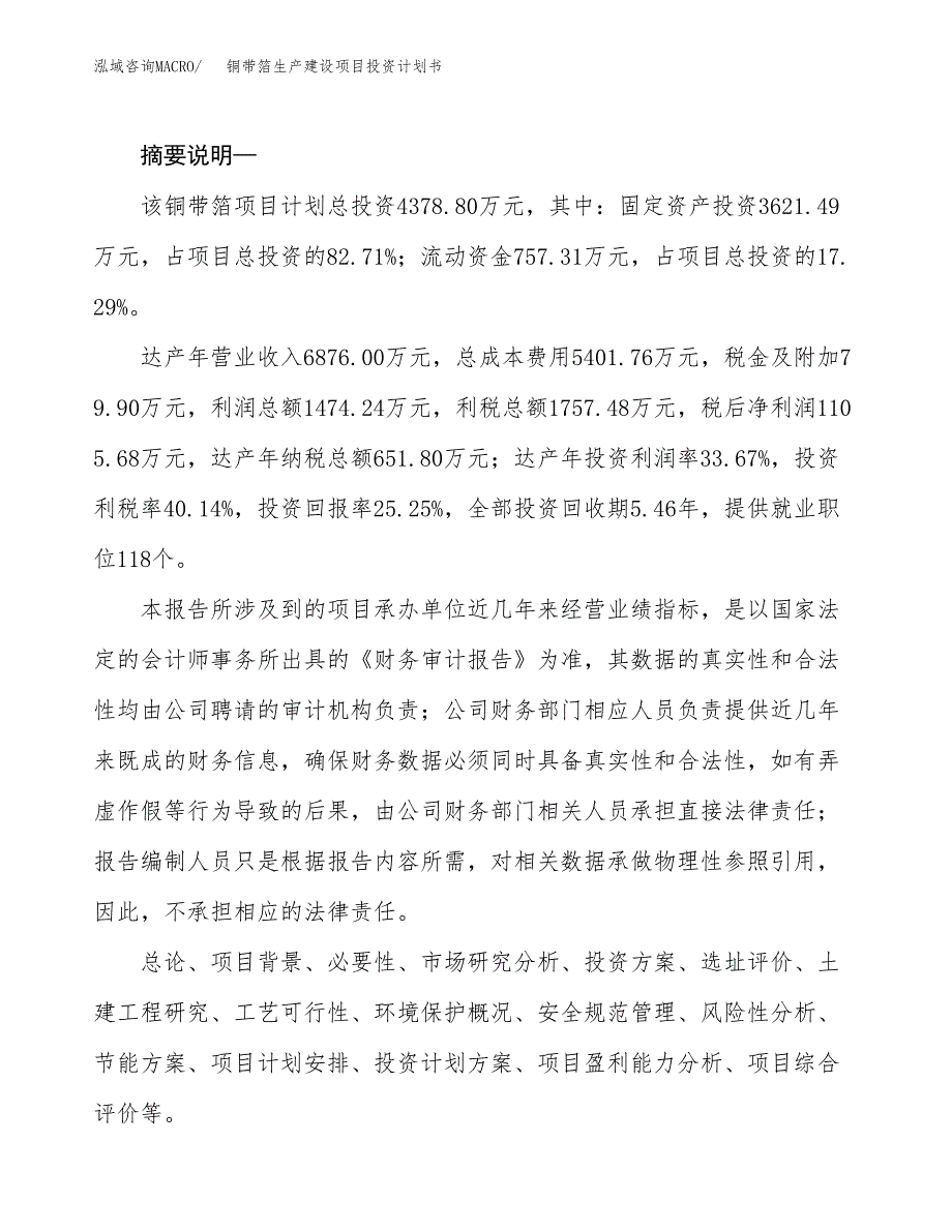 （实用模版）铜带箔生产建设项目投资计划书_第2页