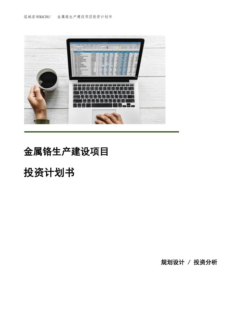 （模板）金属铬生产建设项目投资计划书_第1页