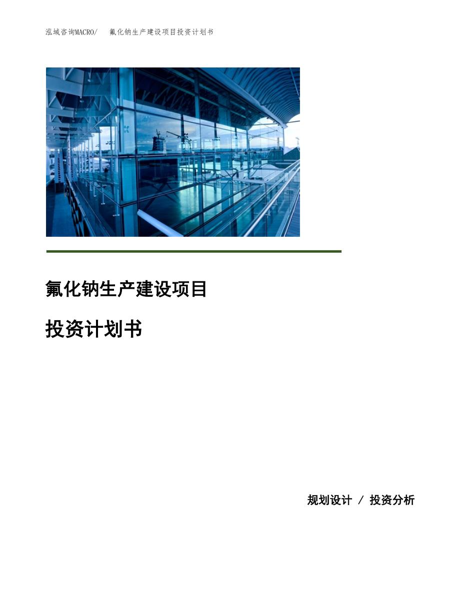 （实用模版）氟化钠生产建设项目投资计划书_第1页