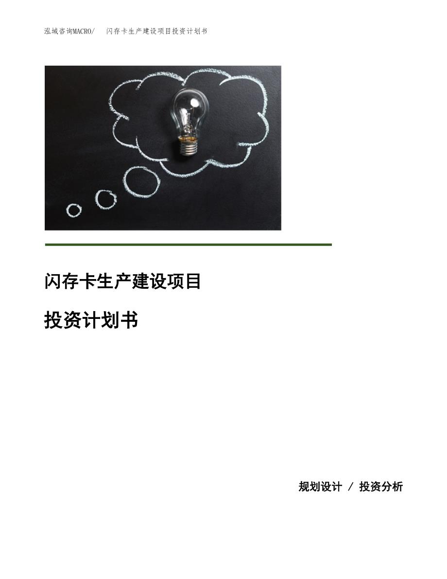 （模板）闪存卡生产建设项目投资计划书_第1页