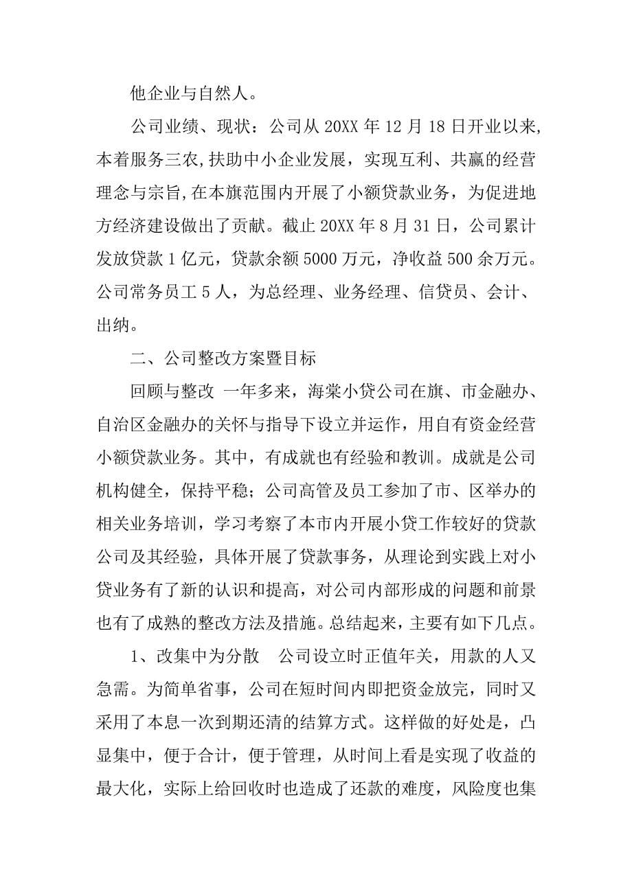 小额贷款公司整改报告.doc_第5页