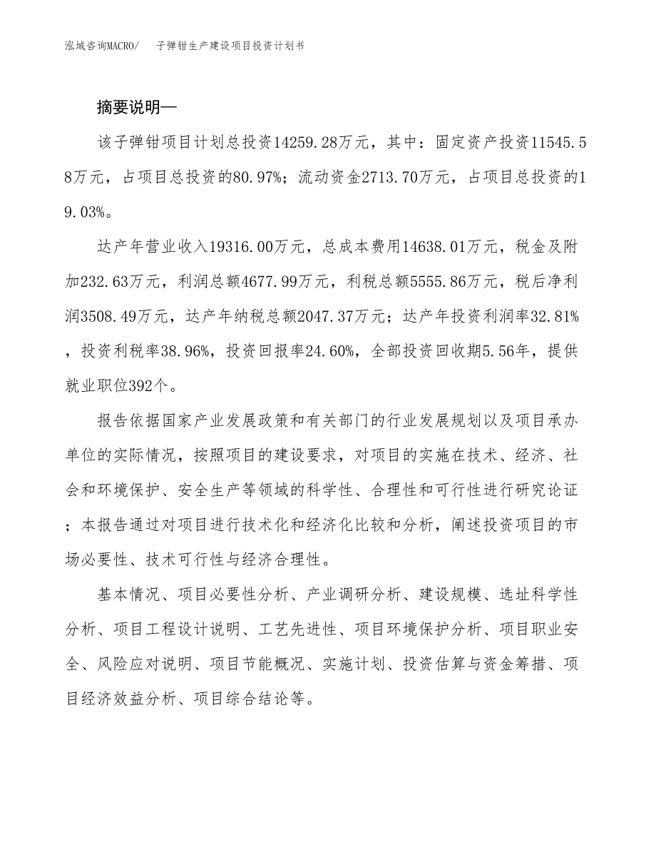 （模板）子弹钳生产建设项目投资计划书_第2页