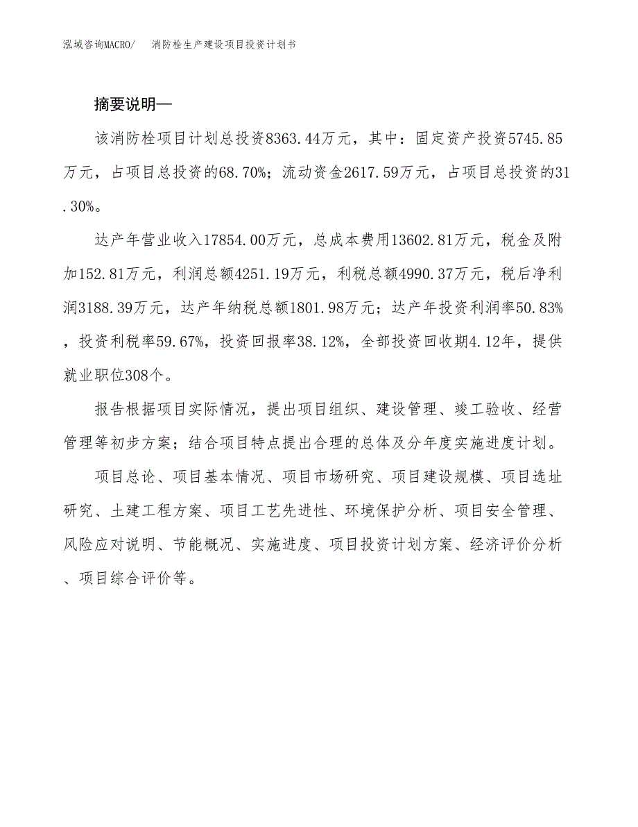 （实用模版）消防栓生产建设项目投资计划书_第2页