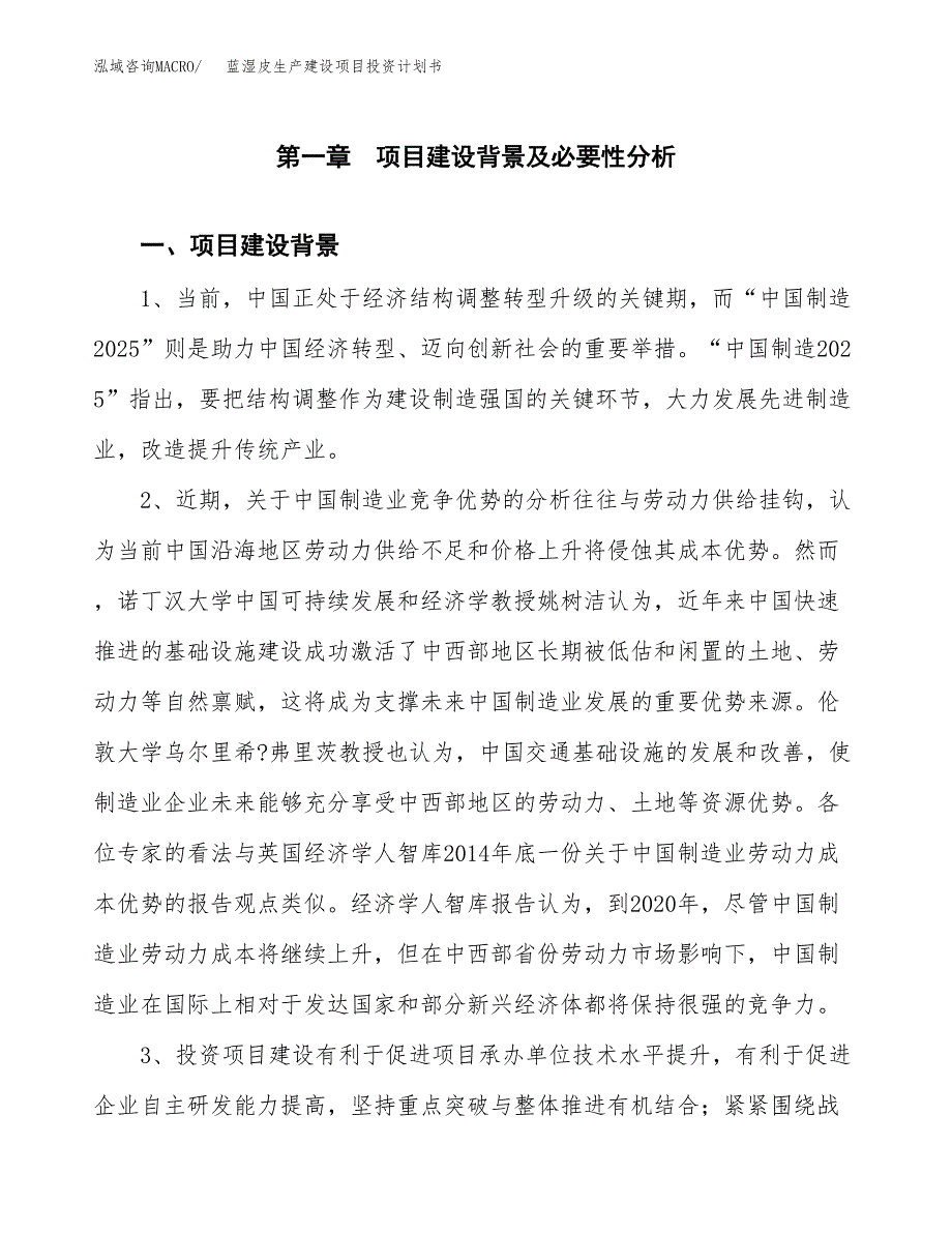 （模板）蓝湿皮生产建设项目投资计划书_第3页