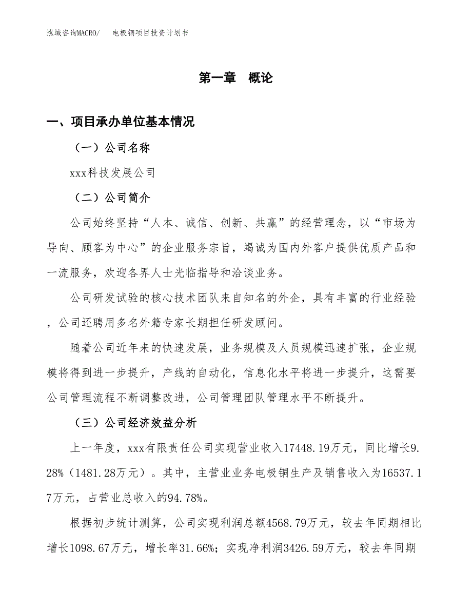 （申请模板）电极铜项目投资计划书_第3页