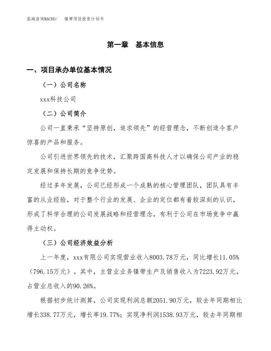 （申请模板）镍带项目投资计划书_第3页