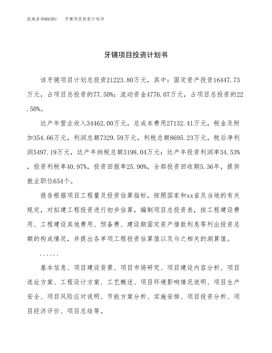 （项目申请模板）牙镜项目投资计划书_第1页