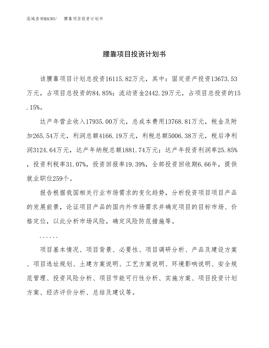 （项目申请模板）腰靠项目投资计划书_第1页