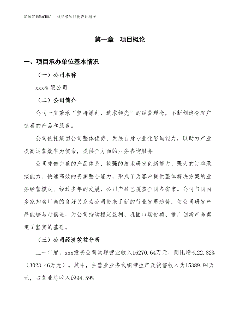 （申请模板）线织带项目投资计划书_第2页