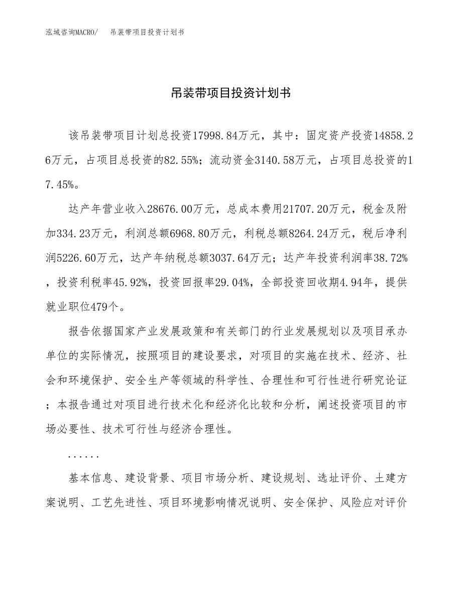 （申请模板）吊装带项目投资计划书_第1页