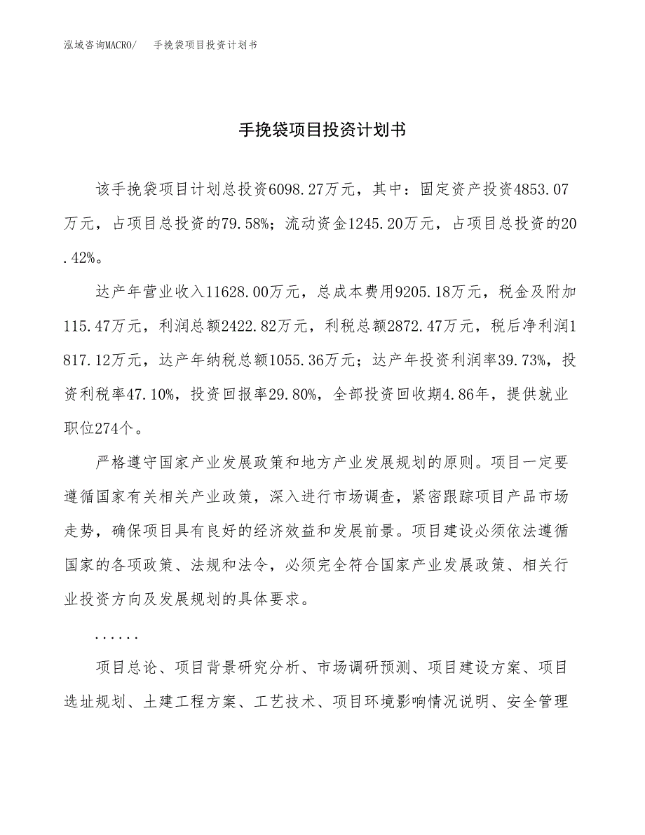 （申请模板）手挽袋项目投资计划书_第1页