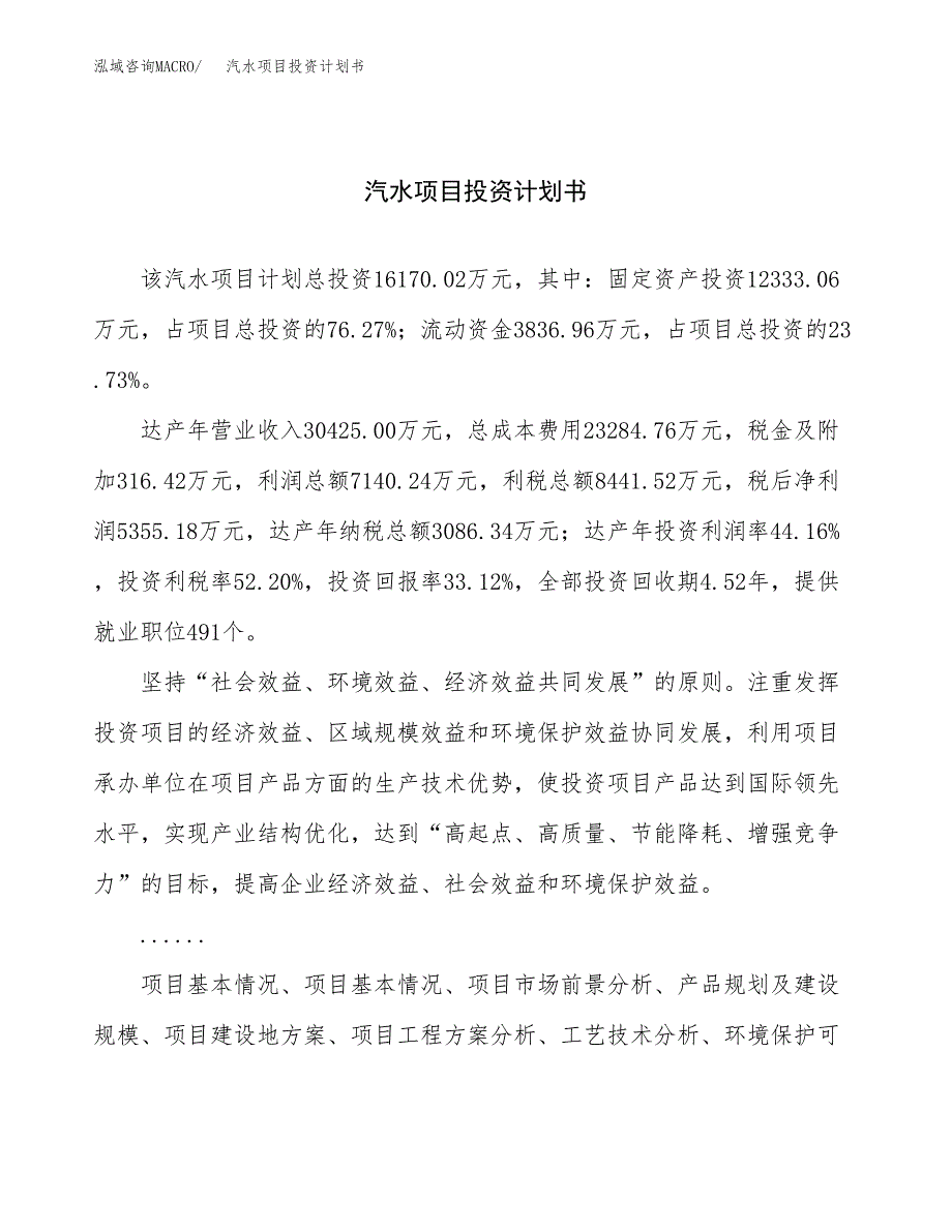 （项目申请模板）汽水项目投资计划书_第1页