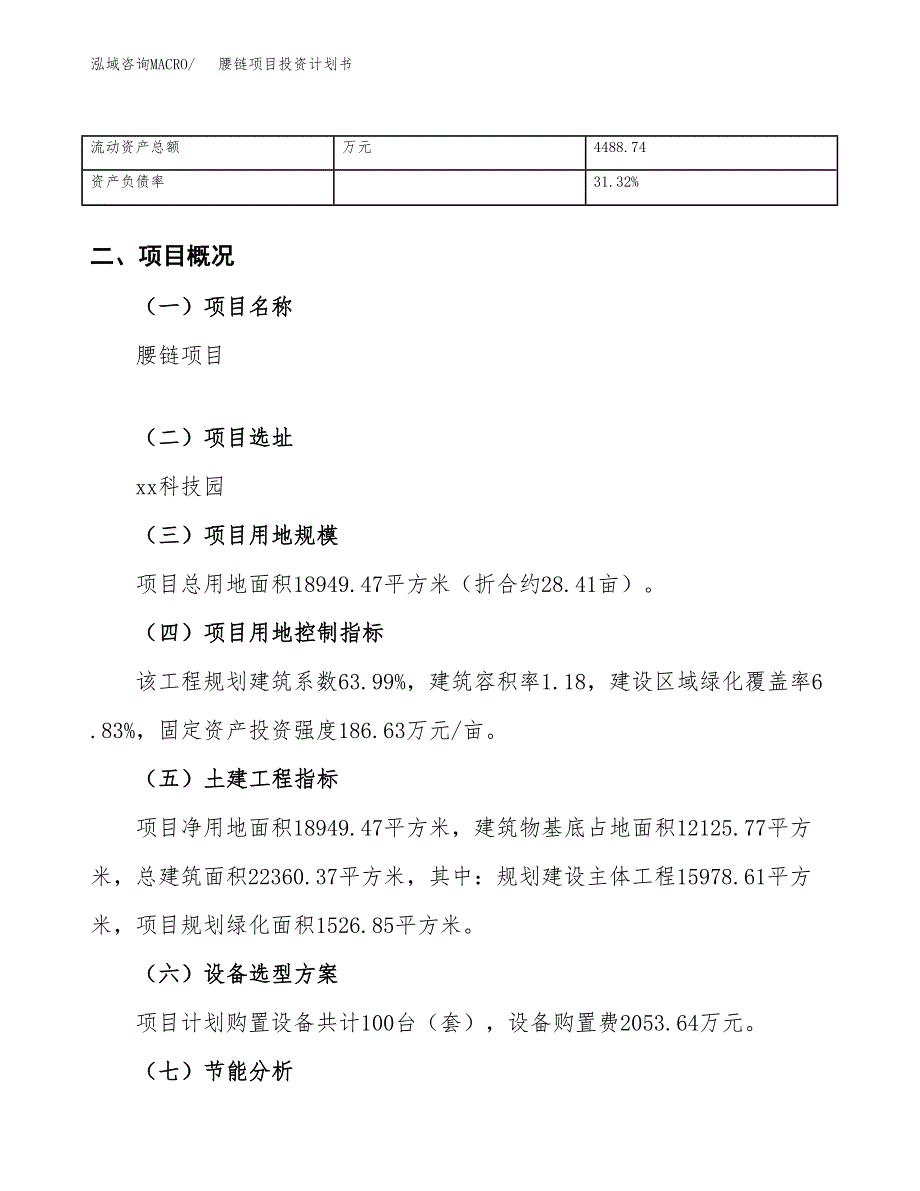 （项目申请模板）腰链项目投资计划书_第4页