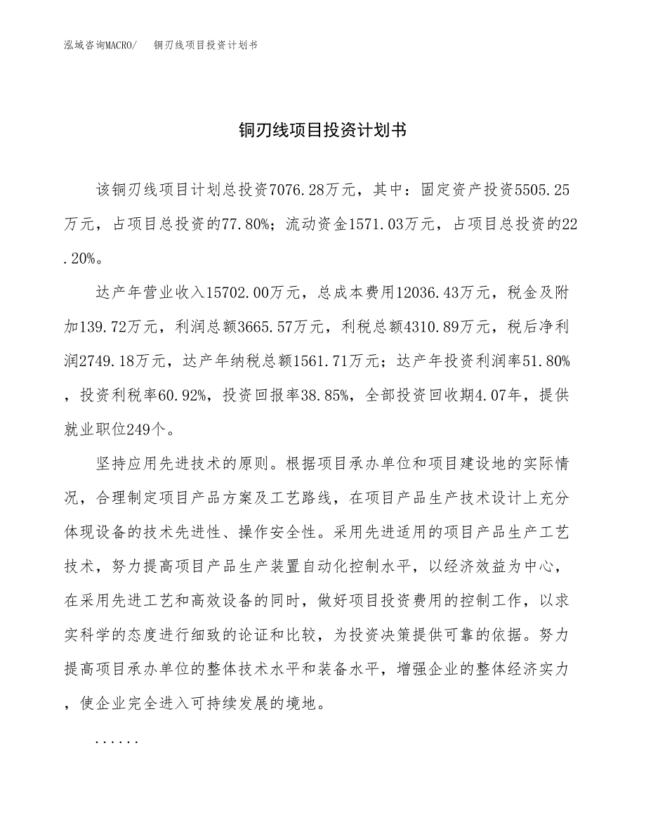 （申请模板）铜刃线项目投资计划书_第1页