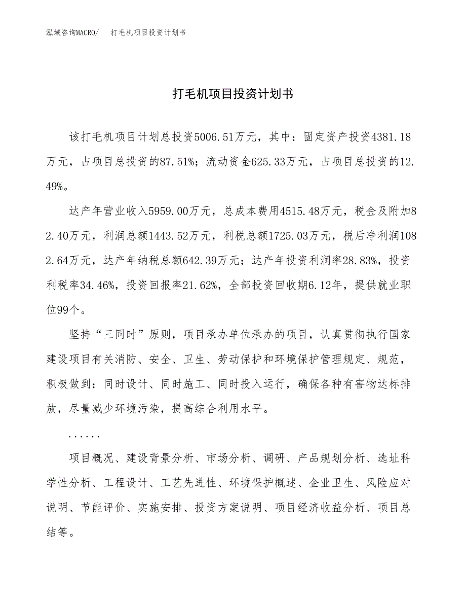 （申请模板）打毛机项目投资计划书_第1页