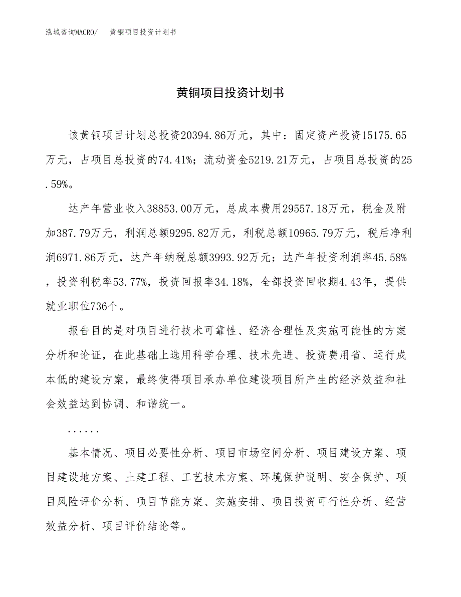 （申请模板）黄铜项目投资计划书_第1页