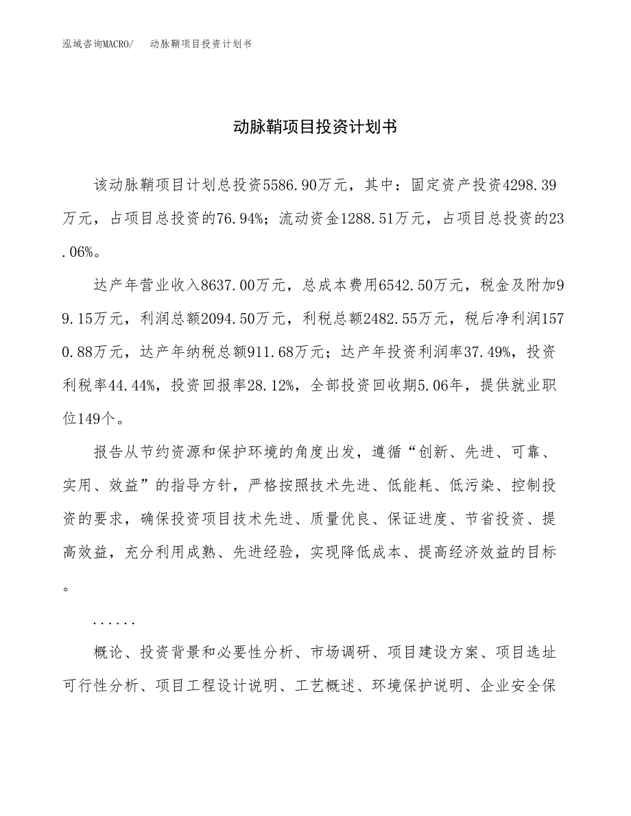 （申请模板）动脉鞘项目投资计划书_第1页