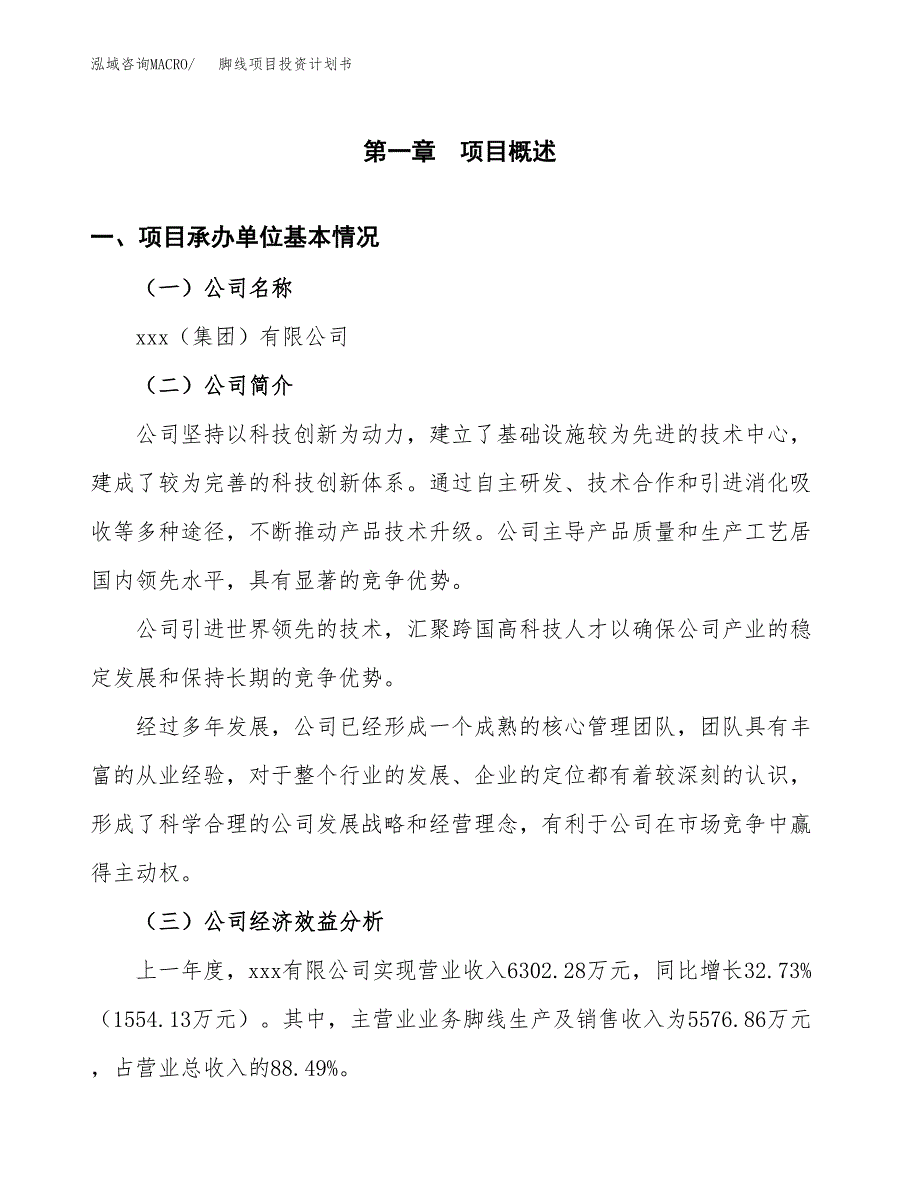 （申请模板）脚线项目投资计划书_第2页