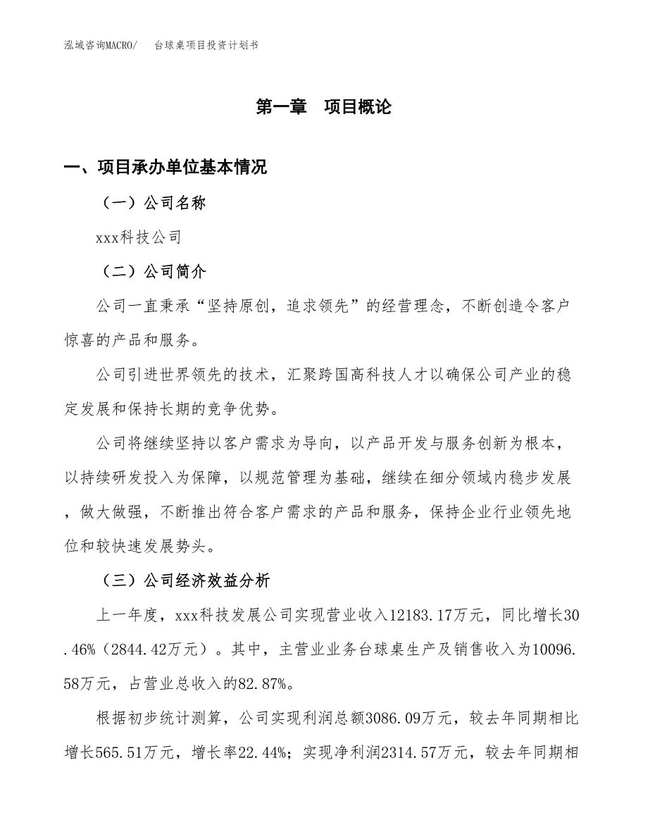 （项目申请模板）台球桌项目投资计划书_第3页