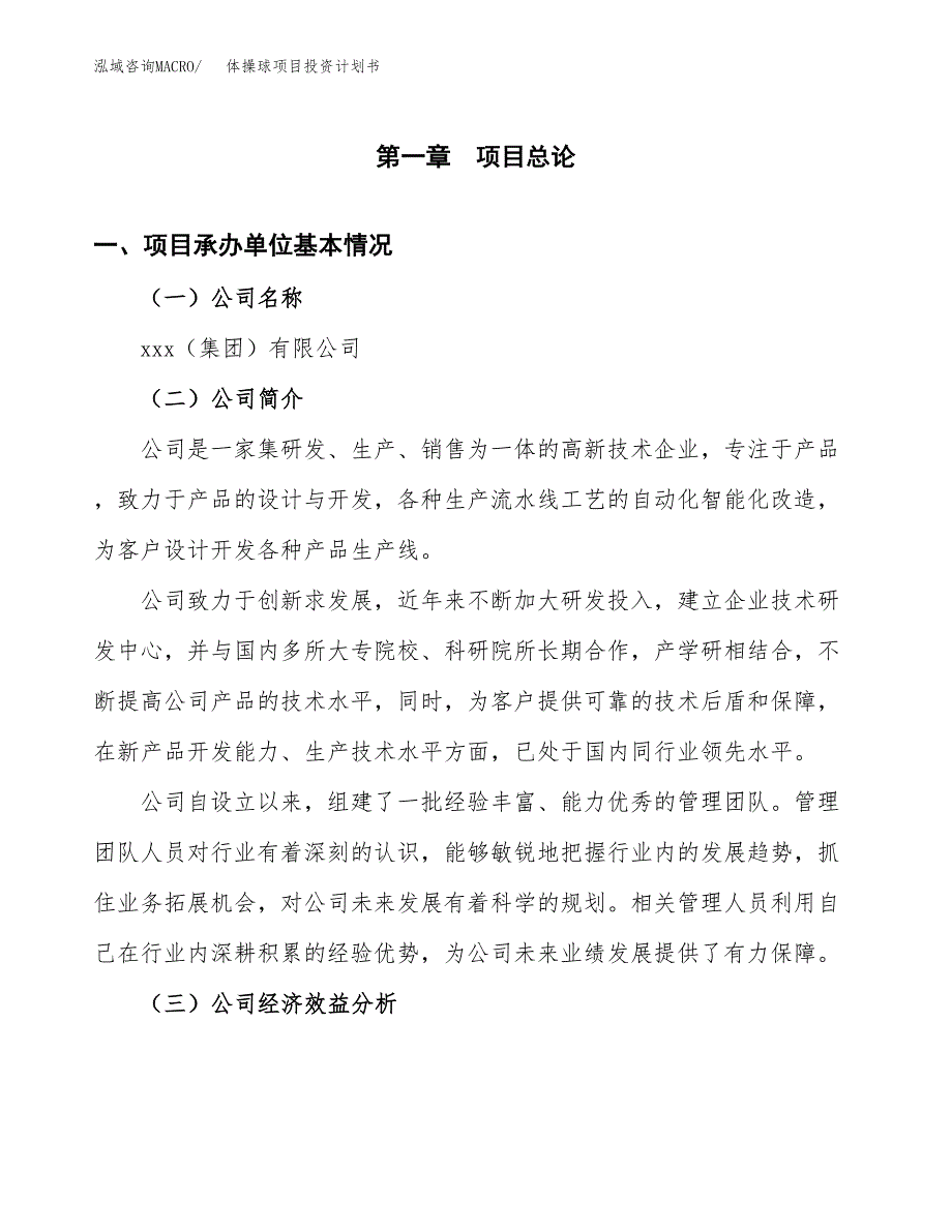 （项目申请模板）体操球项目投资计划书_第3页