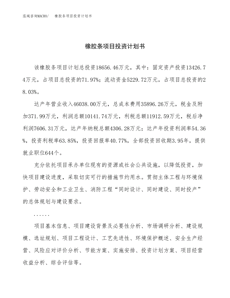 （项目申请模板）橡胶条项目投资计划书_第1页