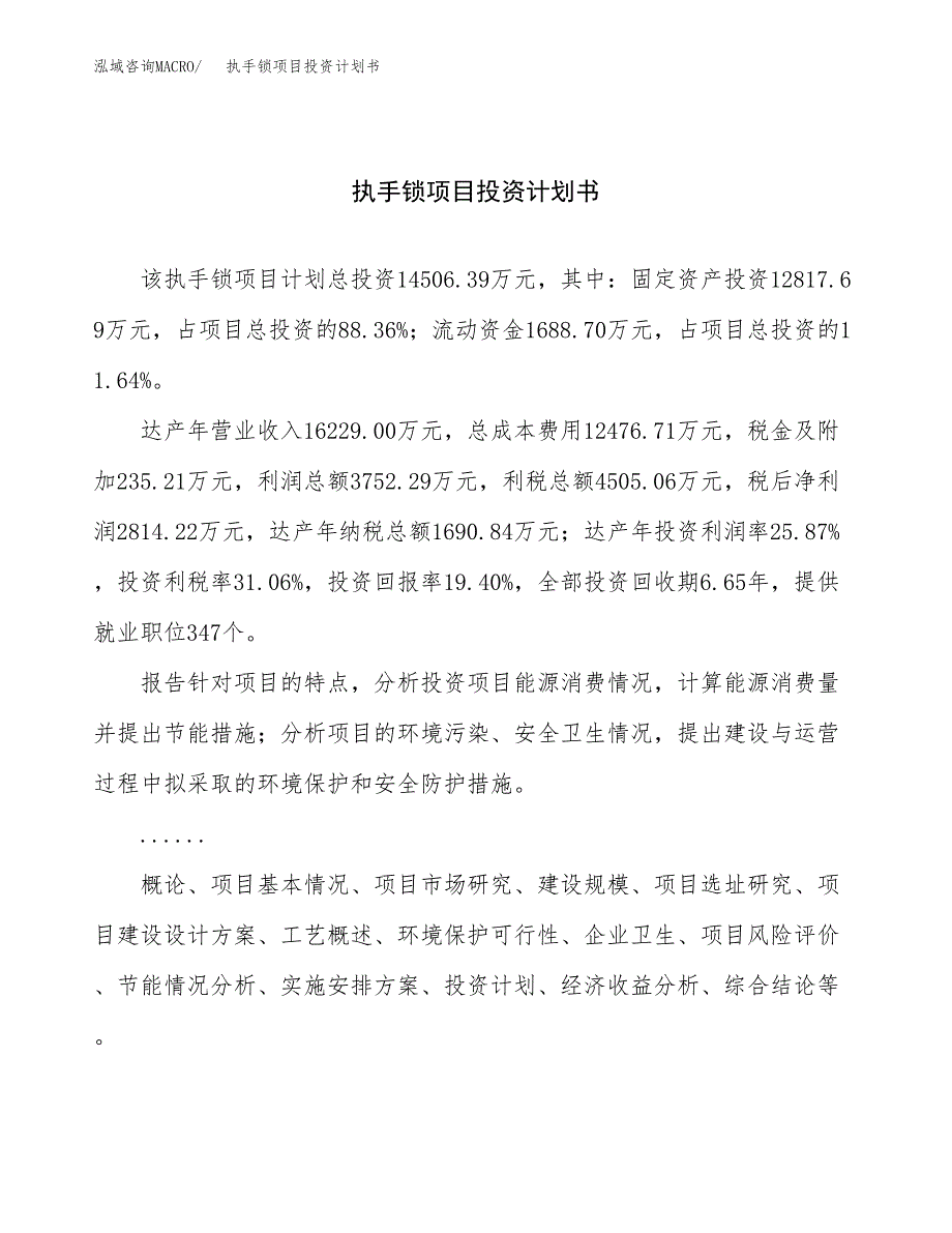 （项目申请模板）执手锁项目投资计划书_第1页