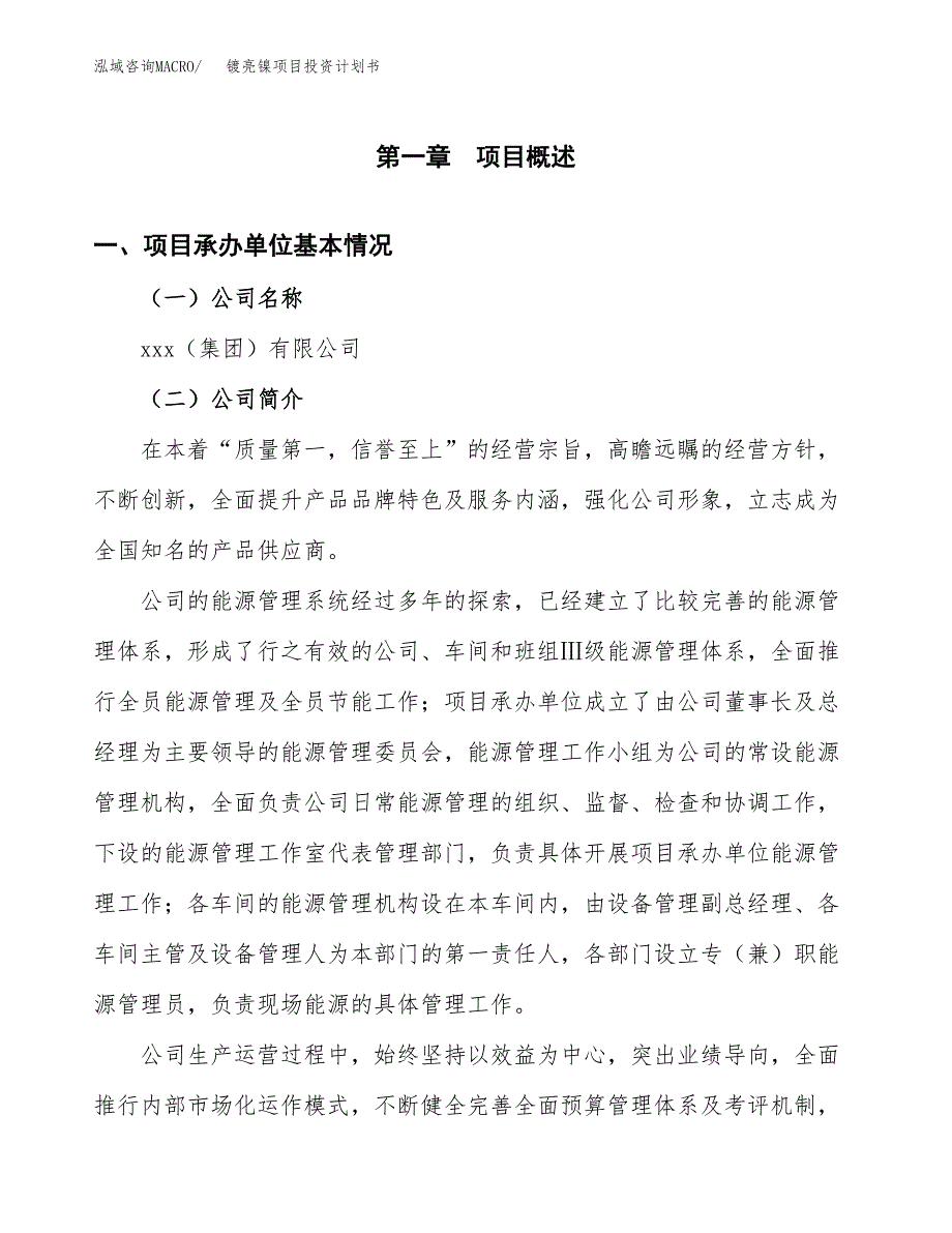 （申请模板）镀亮镍项目投资计划书_第3页