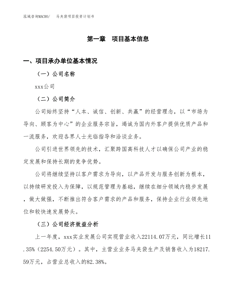 （申请模板）马夹袋项目投资计划书_第3页