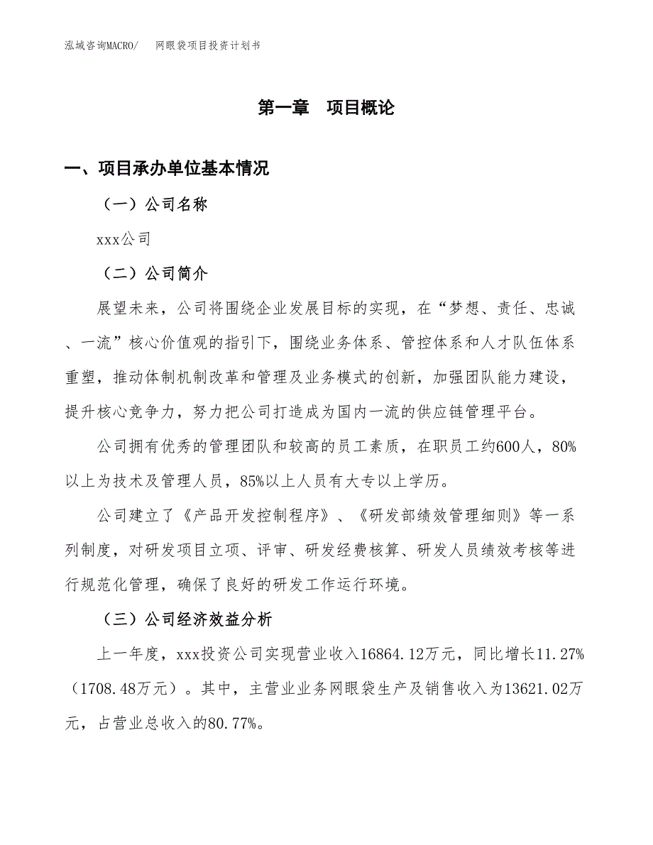 （申请模板）网眼袋项目投资计划书_第3页