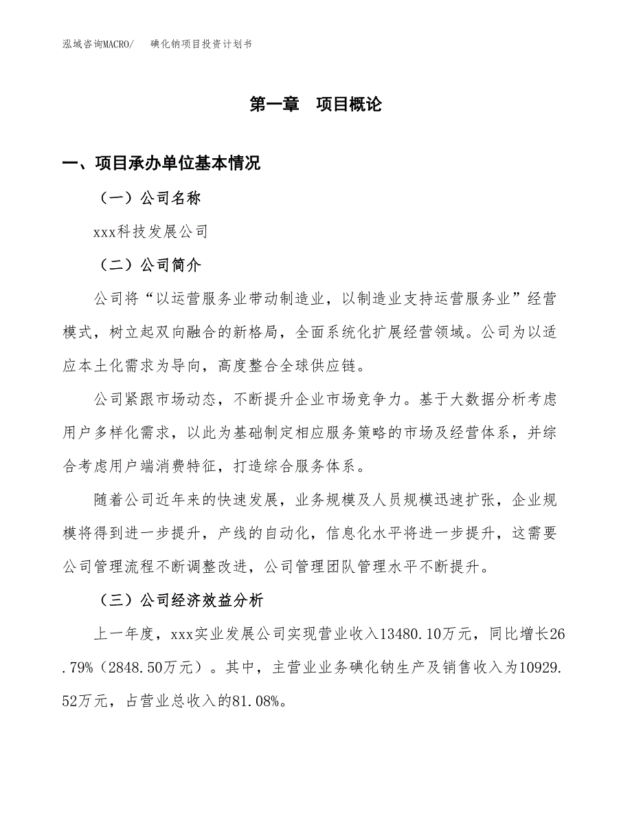 （申请模板）碘化钠项目投资计划书_第2页