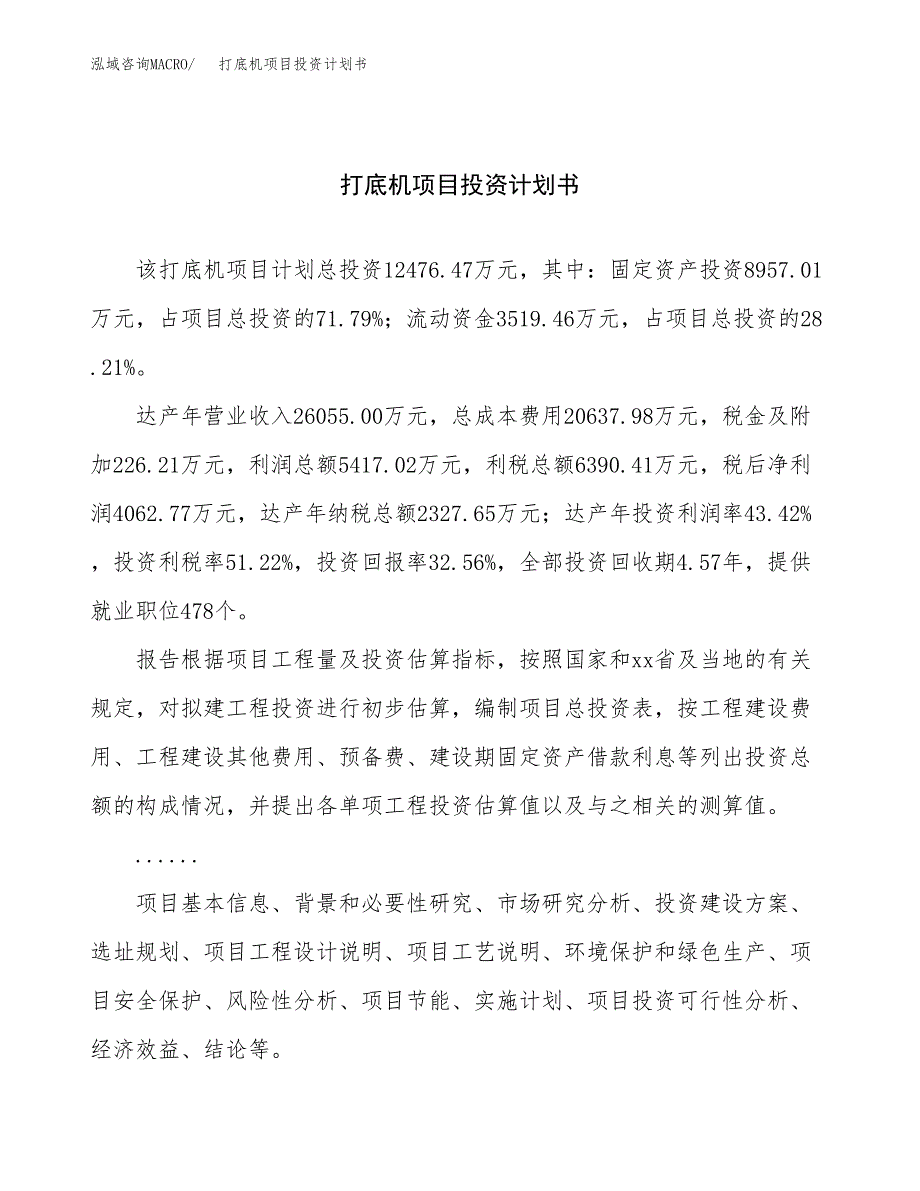 （申请模板）打底机项目投资计划书_第1页