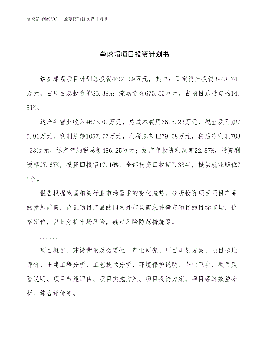 （申请模板）垒球帽项目投资计划书_第1页