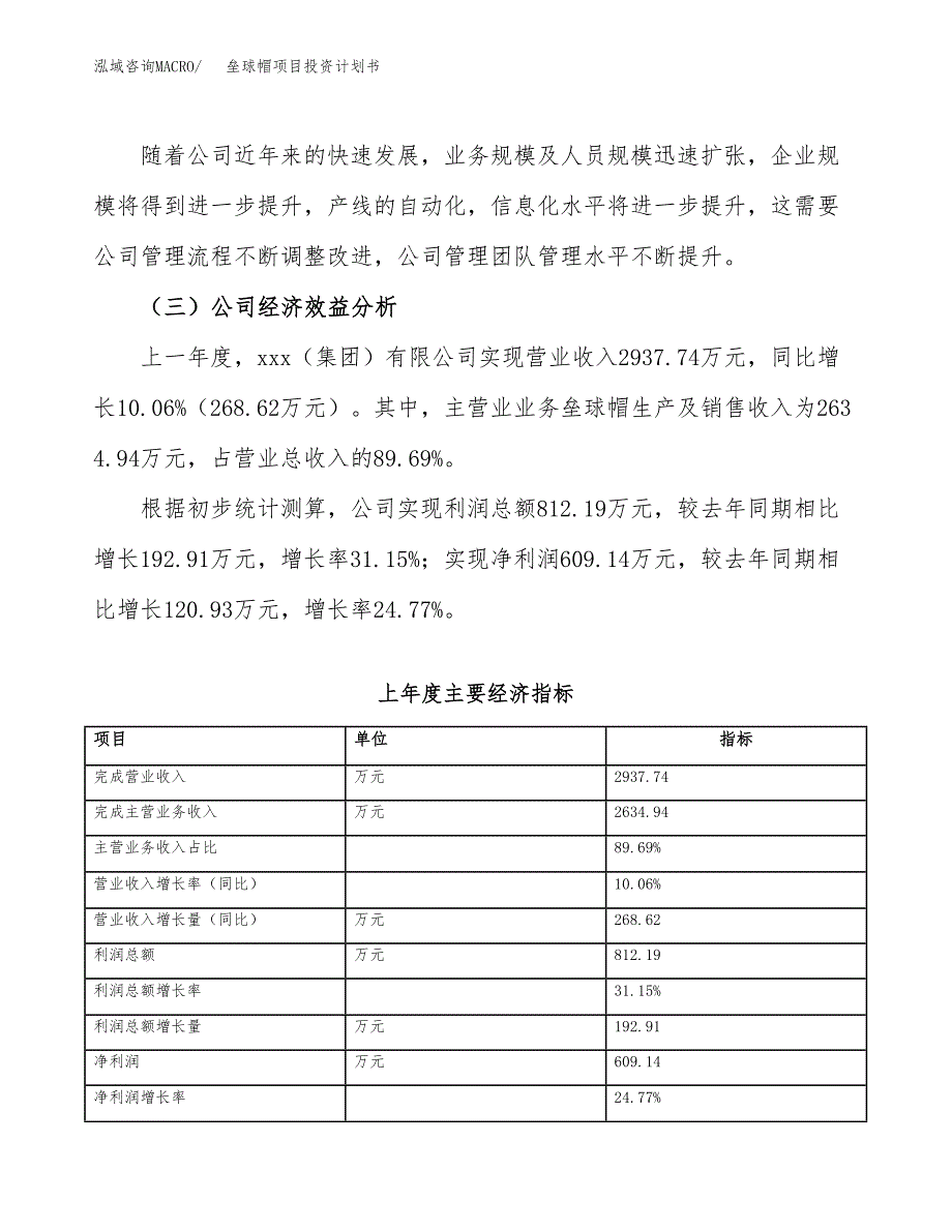 （申请模板）垒球帽项目投资计划书_第3页