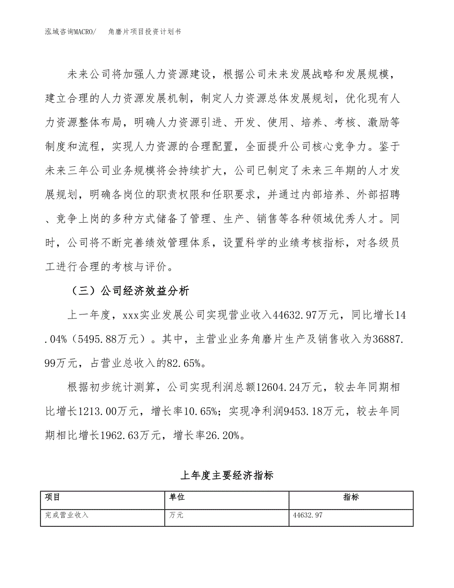 （申请模板）角磨片项目投资计划书_第4页