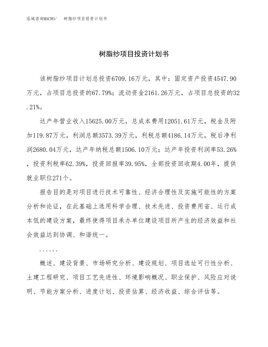 （项目申请模板）树脂纱项目投资计划书_第1页