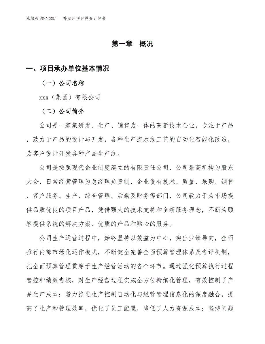 （项目申请模板）补胎片项目投资计划书_第3页