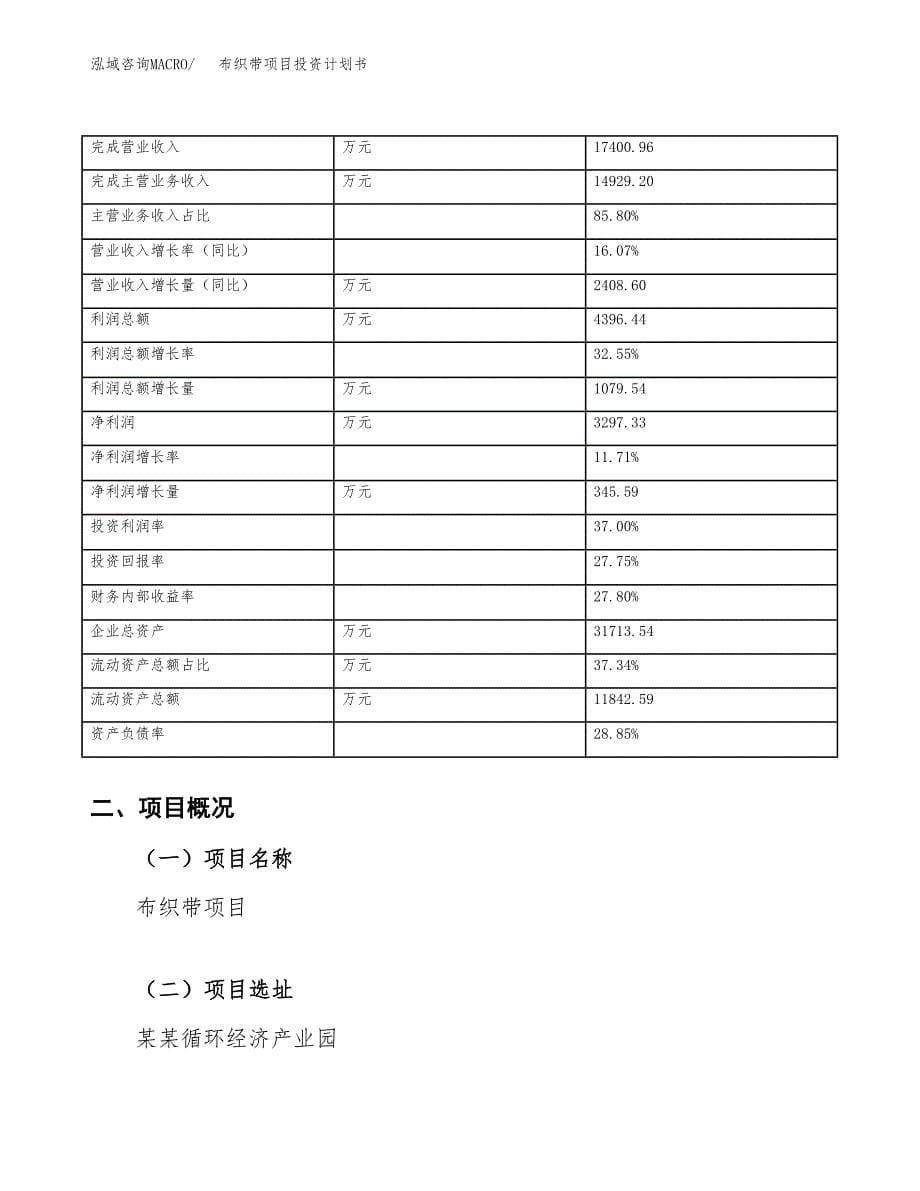 （申请模板）布织带项目投资计划书_第5页