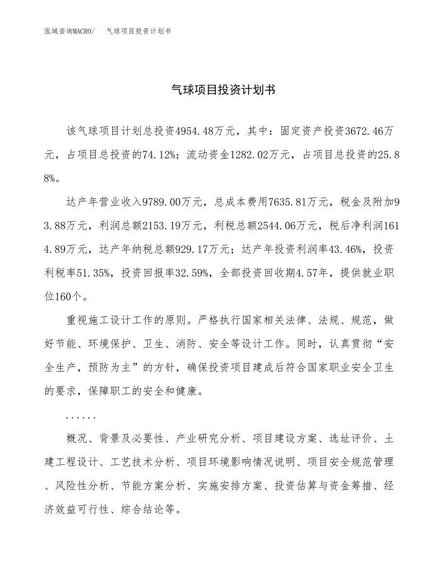 （申请模板）气球项目投资计划书_第1页