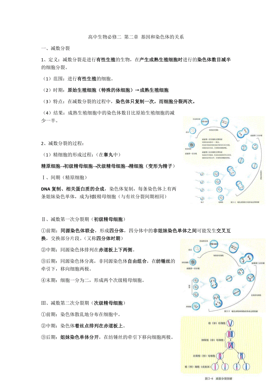 高中生物必修二 第二章 基因和染色体的关系_第1页