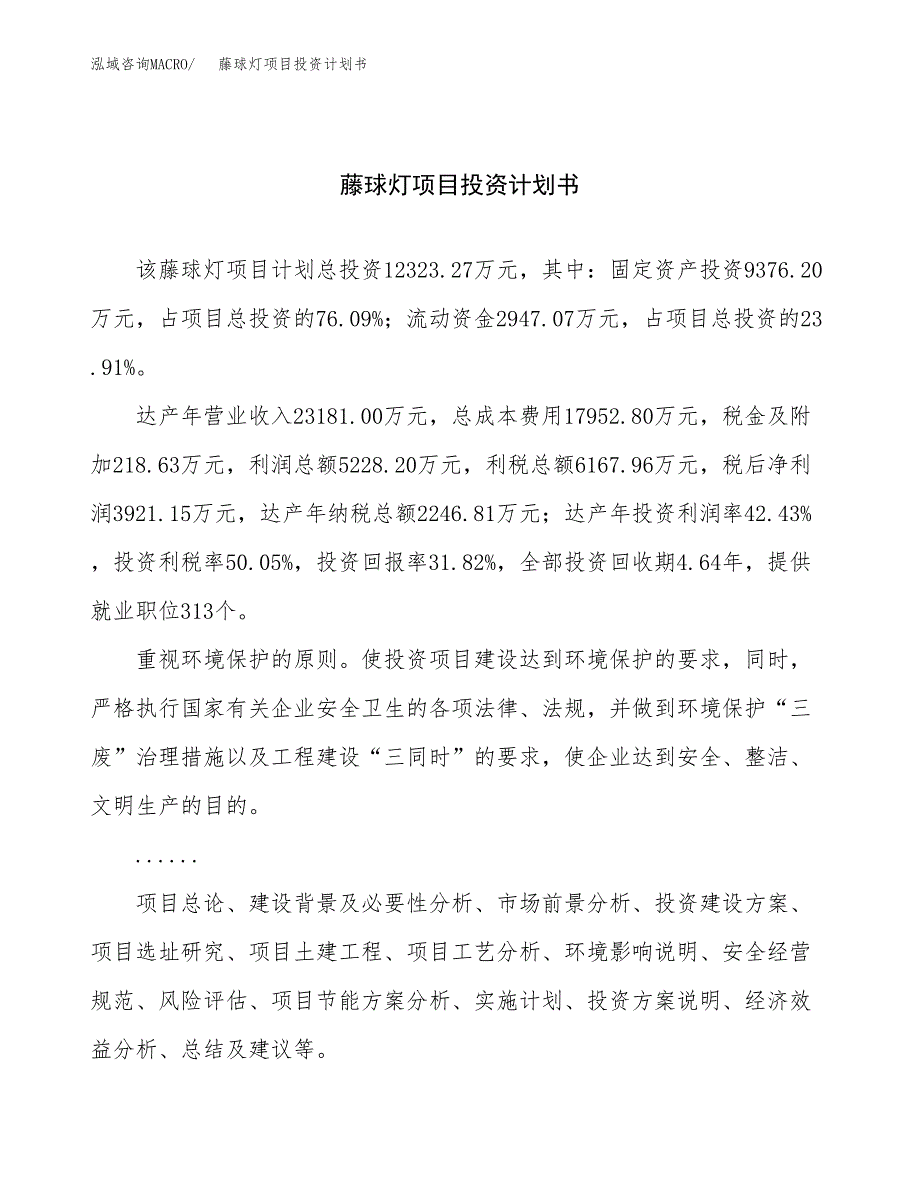 （申请模板）藤球灯项目投资计划书_第1页