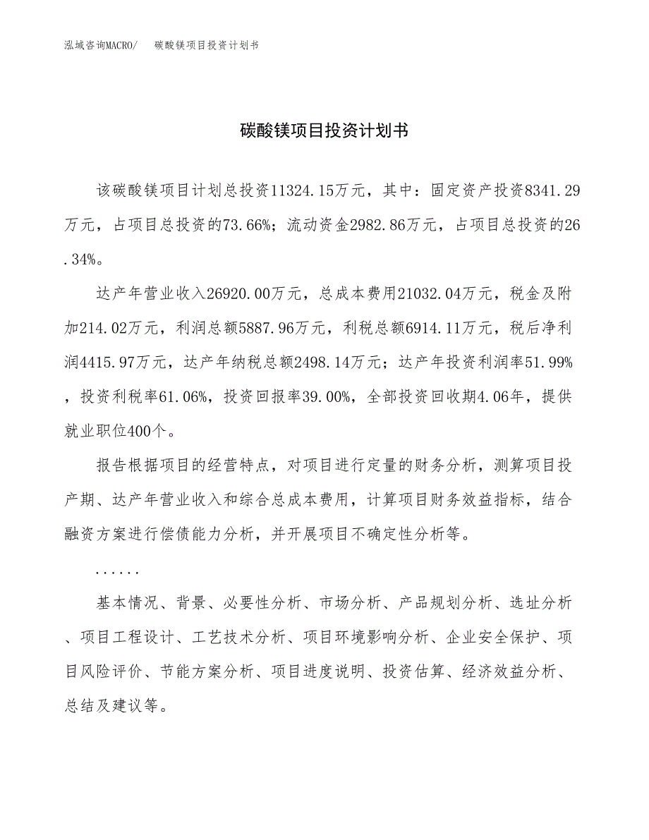 （项目申请模板）碳酸镁项目投资计划书_第1页