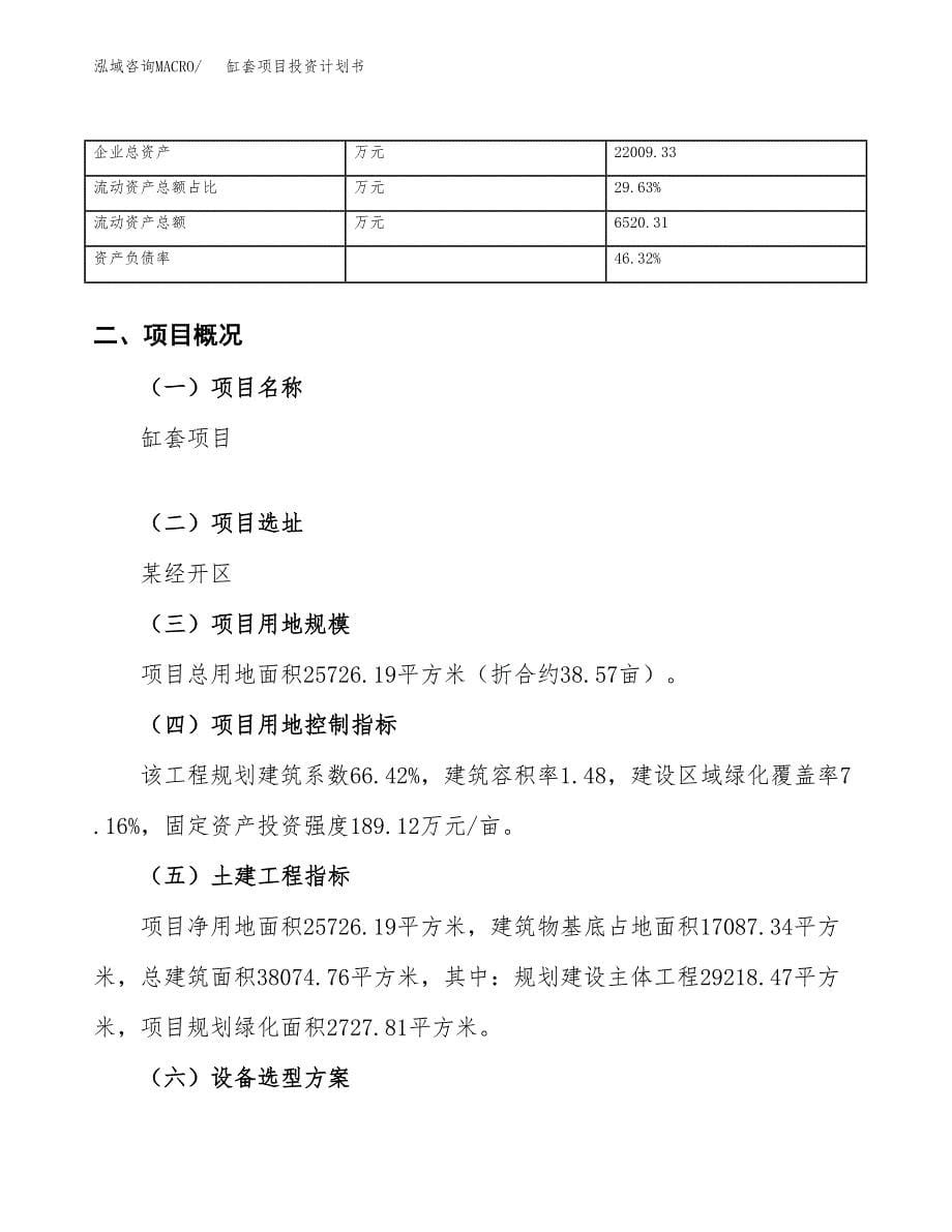 （申请模板）缸套项目投资计划书_第5页