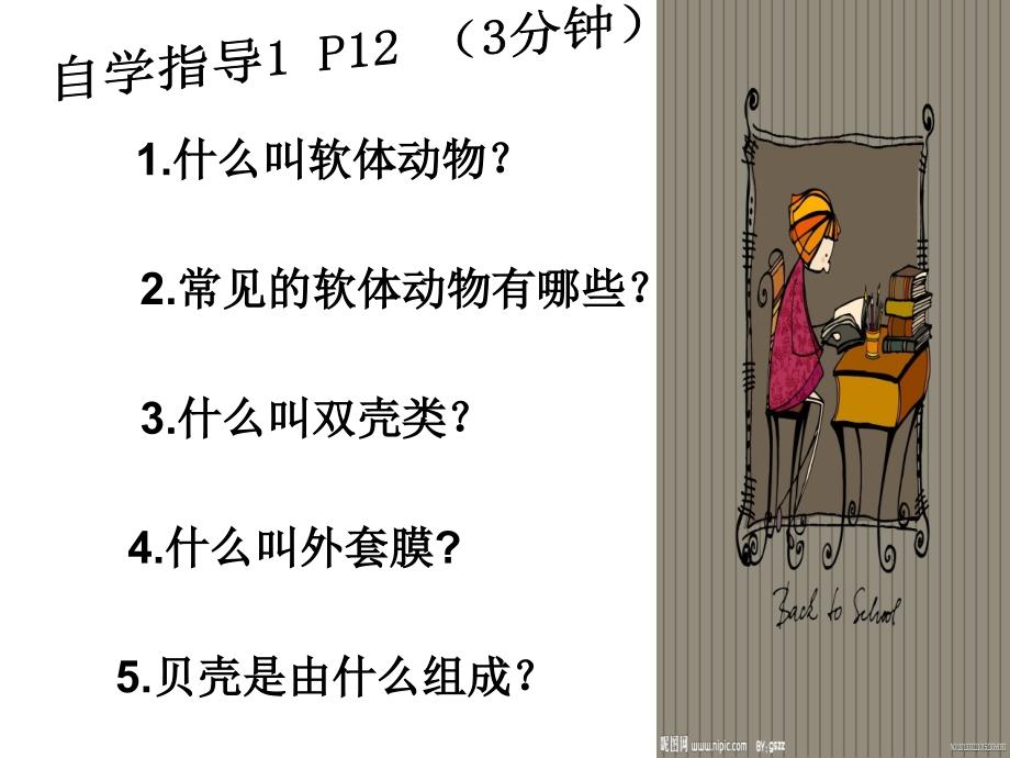 第三节 软体动物和节肢动物_第4页