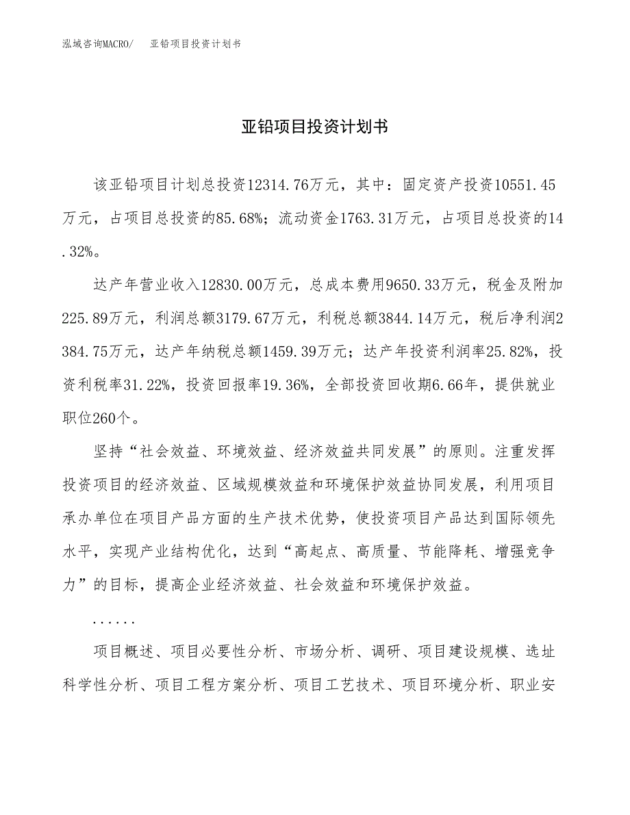 （申请模板）亚铅项目投资计划书_第1页