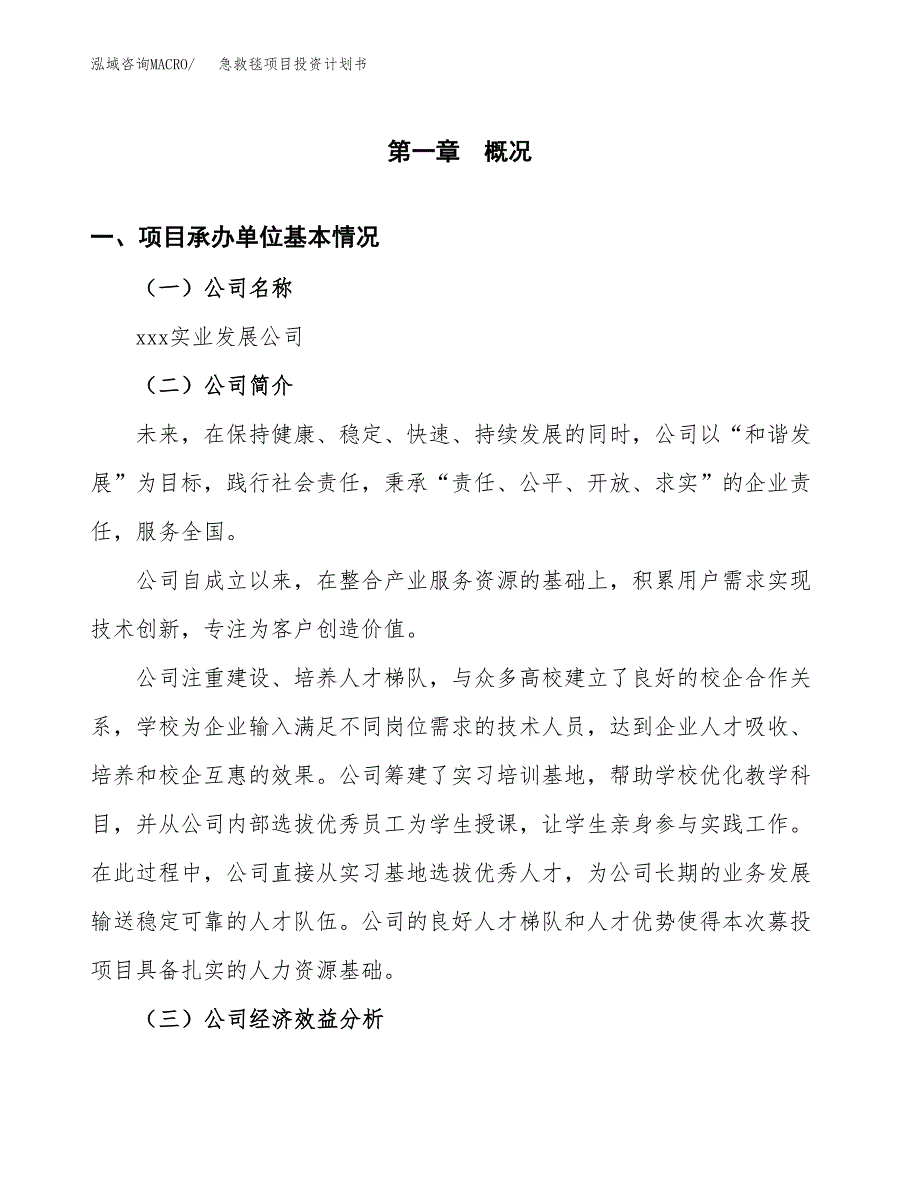 （申请模板）急救毯项目投资计划书_第3页